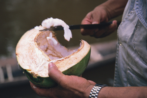 Another of the freely found foodstuffs, coconut, provides nourishment without cost to the inhabitants of the Amazon region of Brazil, near Manaus. Coco is also sold in the different markets, thus providing an income as well. Brazil. © Julio Pantoja / Worl