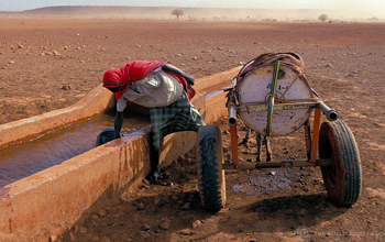 Gathering water. Kenya. © Curt Carnemark / World Bank