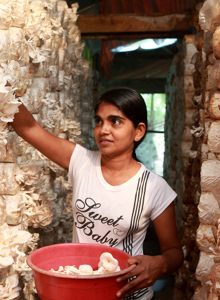 Young woman at work in Sri Lanka. © Lakshman Nadaraja / World Bank