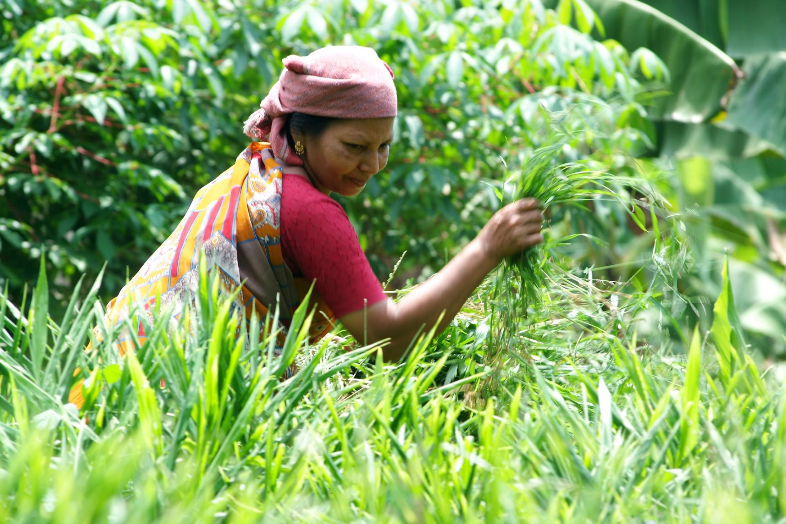 © Kudumbashree, Kerala