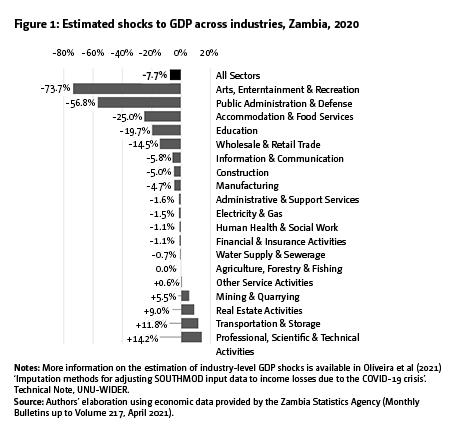 Figure 1: Estimated shocks to GDP across industries, Zambia, 2020