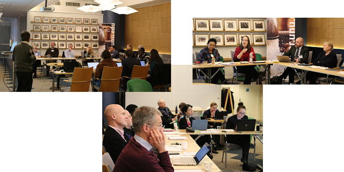 Images from three different inception workshops held in February 2019 on capable states, informal sectors and  macro-drivers of structural change. Photos by UNU-WIDER
