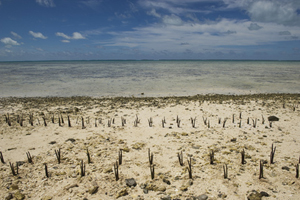 Island Nation of Kiribati Affected by Climate Change. © UN photo/Eskinder Debebe