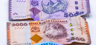 Tanzanian currency, photo: Imani Nsamila / UNU-WIDER