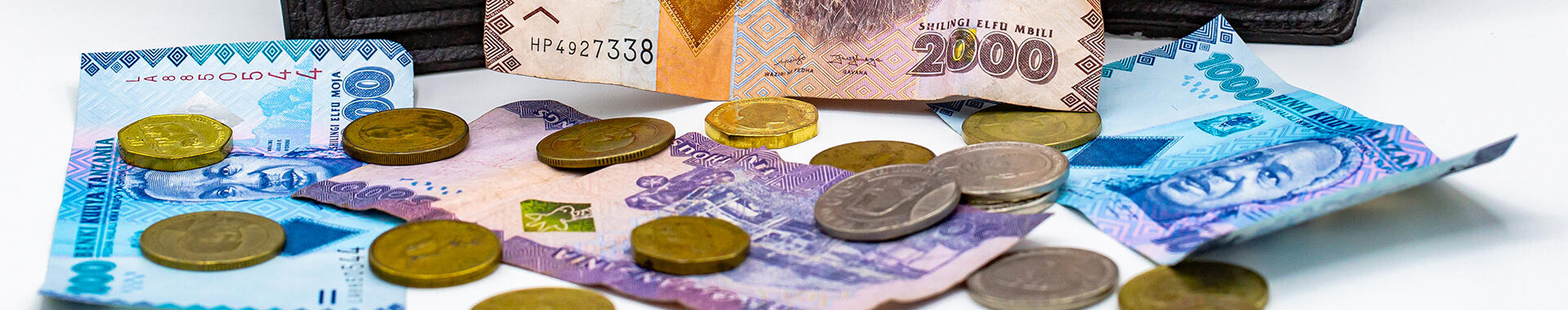 Tanzanian shillings. Image: Imani Nsamila / UNU-WIDER
