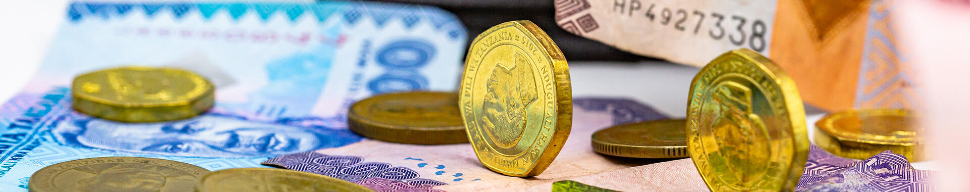 Tanzania currency. Image: Imani Nsamila / UNU-WIDER